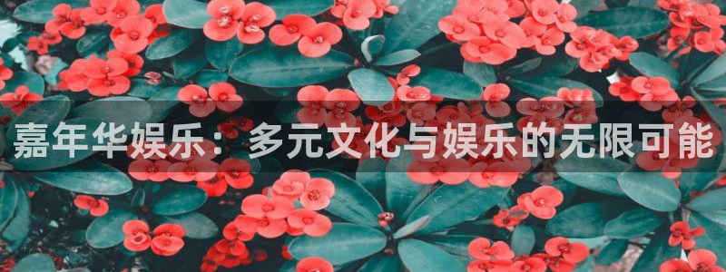 新城平台强制退款流程详解：嘉年华娱乐：多元文化与娱乐的无限可能