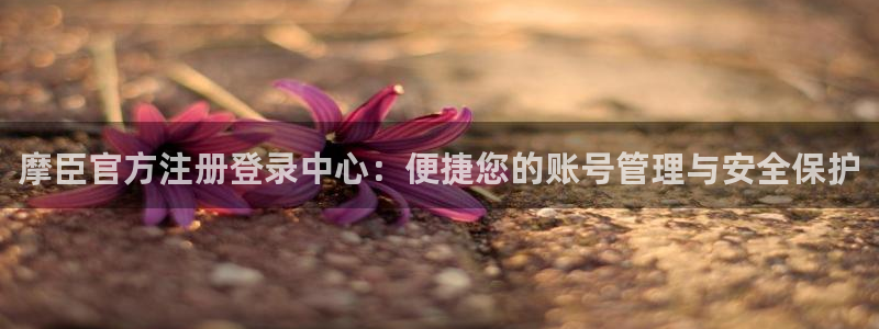 壹号大舞台有梦你就来：摩臣官方注册登录中心：便捷您的账号管理与安全保护