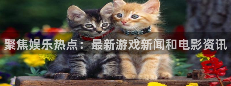 新城平台平台app下载安装：聚焦娱乐热点：最新游戏新闻和电影资讯
