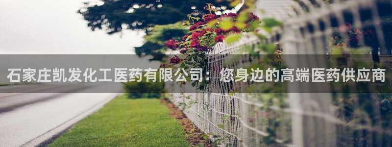 壹号电子娱乐app下载最新版本安装：石家庄凯发化工医药有限公司：您身边的高端医药供应商