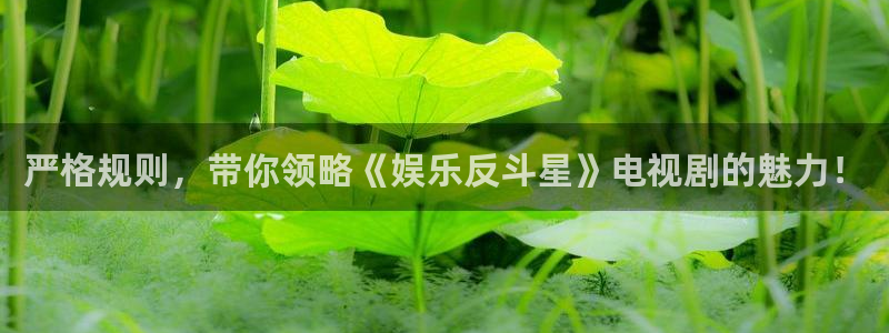 壹号平台娱乐：严格规则，带你领略《娱乐反斗星》电视剧的魅力！