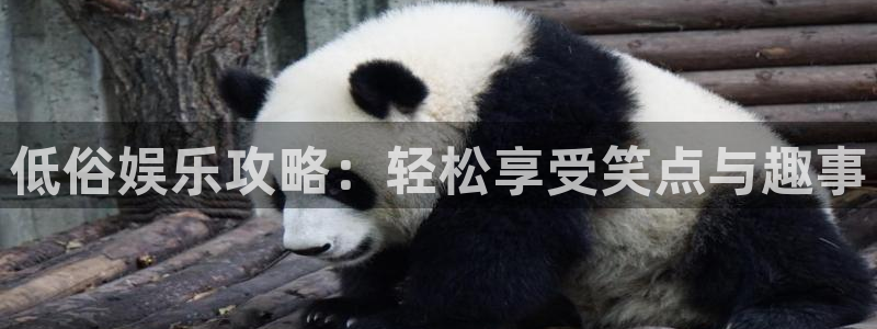 壹号app下载官网娱乐：低俗娱乐攻略：轻松享受笑点与趣事