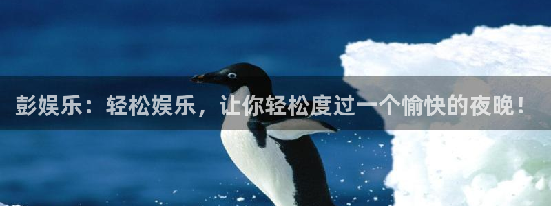 壹号app下载链接
