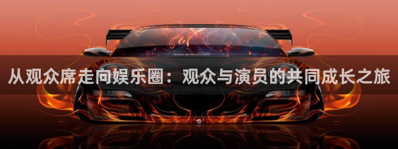 新城平台网站：从观众席走向娱乐圈：观众与演员的共同成长之旅