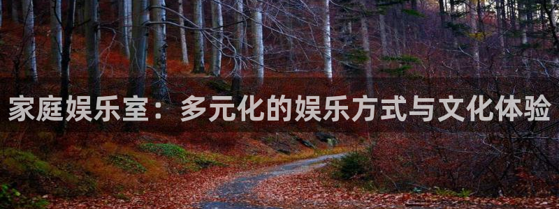 壹号app下载链接：家庭娱乐室：多元化的娱乐方式与文化体验