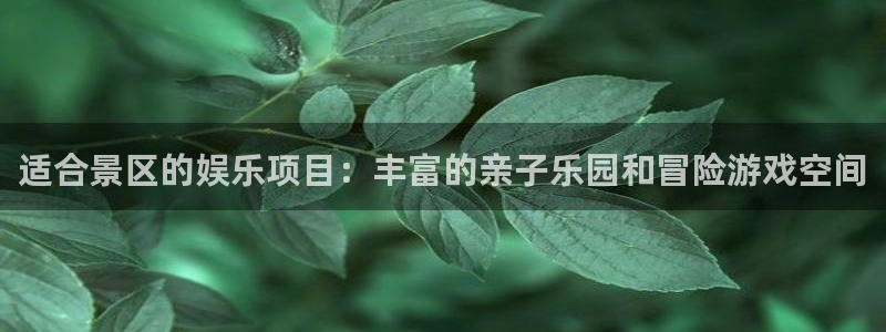 新城平台app下载官网：适合景区的娱乐项目：丰富的亲子乐园和冒险游戏空间