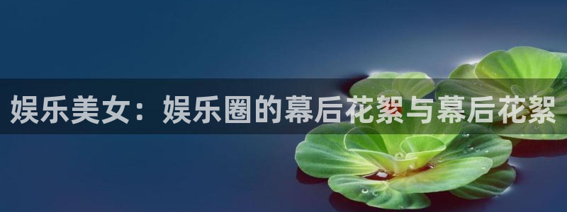 壹号平台下载安装