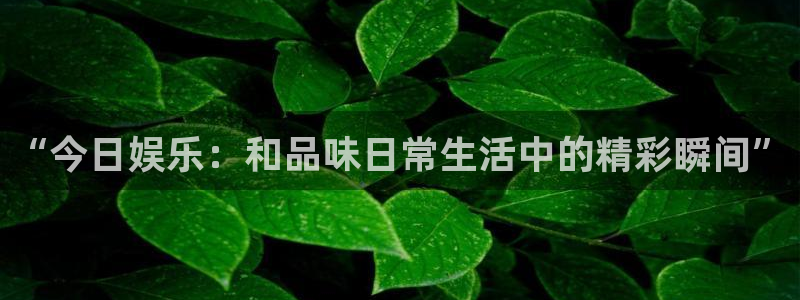 新城平台(com.youad.authst)：“今日娱乐：和品味日常生活中的精彩瞬间”