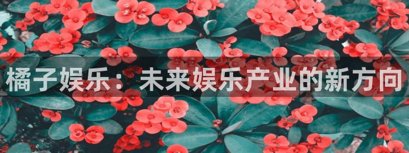 新城平台下载：橘子娱乐：未来娱乐产业的新方向