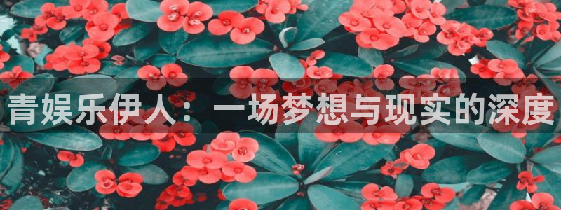 壹号大舞台网站：青娱乐伊人：一场梦想与现实的深度