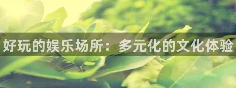 壹号app下载：好玩的娱乐场所：多元化的文化体验