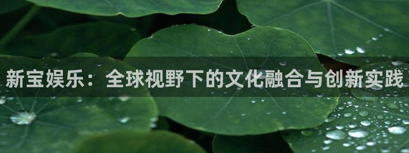 壹号电子娱乐app下载最新版：新宝娱乐：全球视野下的文化融合与创新实践