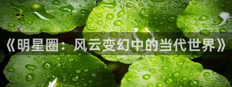 新城平台app官网：《明星圈：风云变幻中的当代世界》