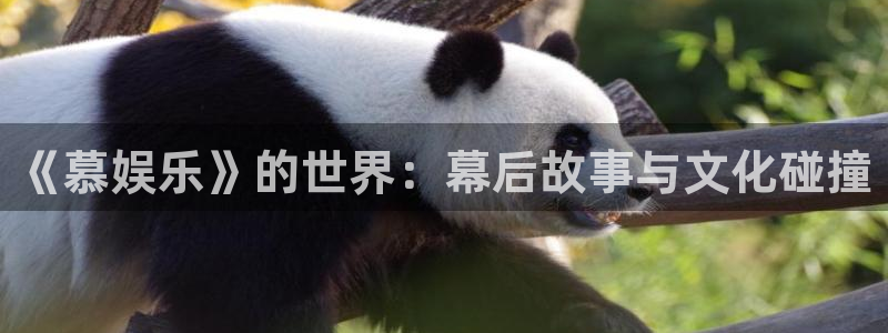 壹号电子娱乐app下载最新版：《慕娱乐》的世界：幕后故事与文化碰撞
