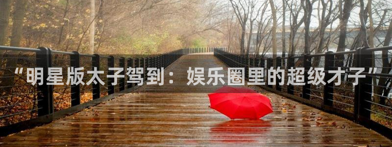 壹号大舞台下载链接：“明星版太子驾到：娱乐圈里的超级才子”