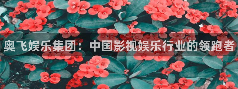 新城平台app网页入口