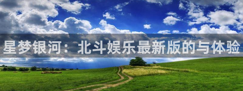 新城平台官网入口