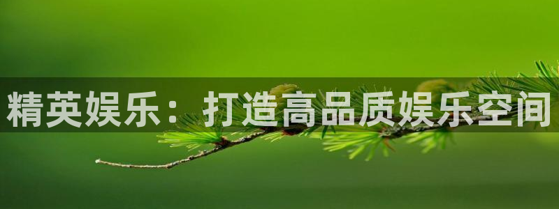 壹号大舞台官网：精英娱乐：打造高品质娱乐空间