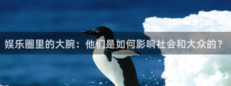 新城平台,com：娱乐圈里的大腕：他们是如何影响社会和大众的？
