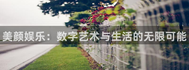 新城平台吧：美颜娱乐：数字艺术与生活的无限可能