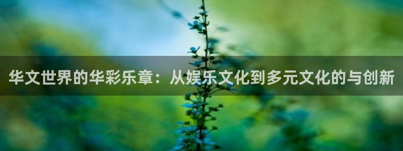 壹号电子娱乐app下载最新版本安装：华文世界的华彩乐章：从娱乐文化到多元文化的与创新