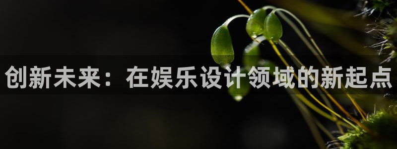 壹号国际app免费下载安装：创新未来：在娱乐设计领域的新起点