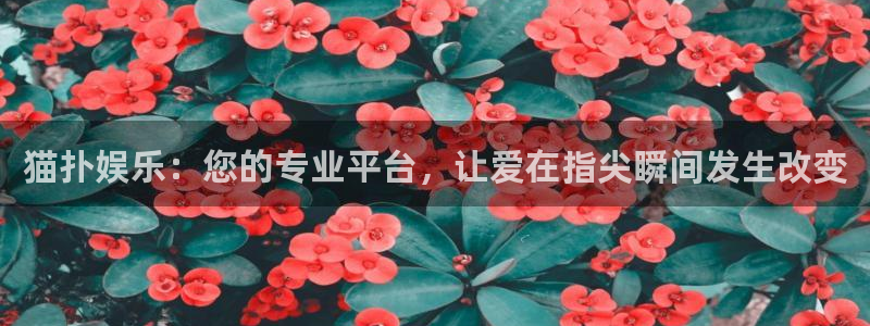 新城平台app下载安装最新版：猫扑娱乐：您的专业平台，让爱在指尖瞬间发生改变