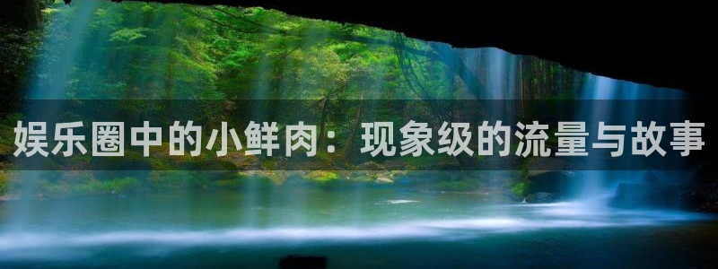 新城平台：娱乐圈中的小鲜肉：现象级的流量与故事