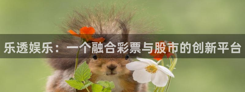 新城平台app下载安装：乐透娱乐：一个融合彩票与股市的创新平台