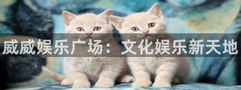 壹号app下载苹果：威威娱乐广场：文化娱乐新天地