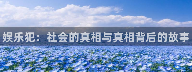 新城平台app官网下载：娱乐犯：社会的真相与真相背后的故事