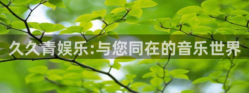新城平台退款怎么退：久久青娱乐:与您同在的音乐世界
