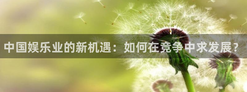 壹号电子娱乐app下载安装最新版本：中国娱乐业的新机遇：如何在竞争中求发展？