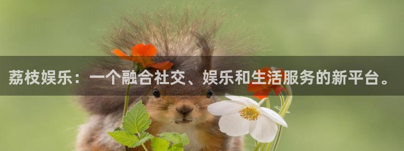 新城平台吧：荔枝娱乐：一个融合社交、娱乐和生活服务的新平台。