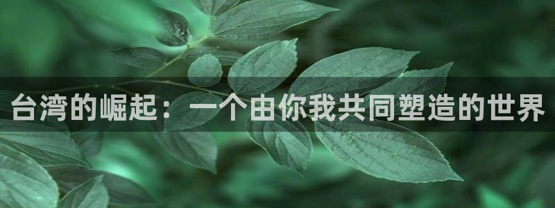 壹号玩家app下载：台湾的崛起：一个由你我共同塑造的世界