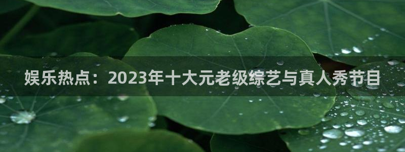 壹号app下载官网娱乐：娱乐热点：2023年十大元老级综艺与真人秀节目