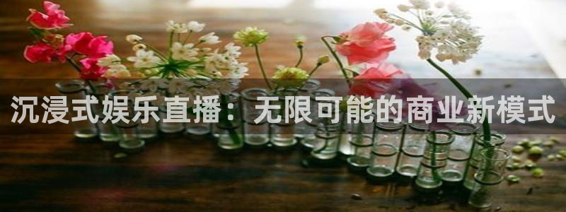 壹号电子娱乐app下载安装