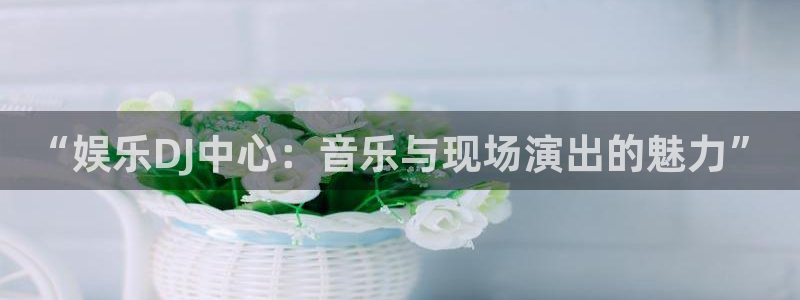 新城平台,apk：“娱乐DJ中心：音乐与现场演出的魅力”
