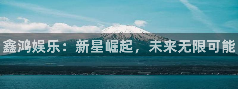 新城平台app下载安装：鑫鸿娱乐：新星崛起，未来无限可能