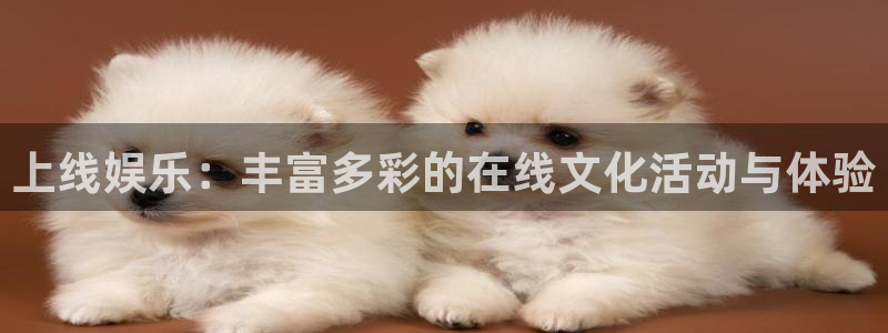 壹号大舞台下载链接：上线娱乐：丰富多彩的在线文化活动与体验