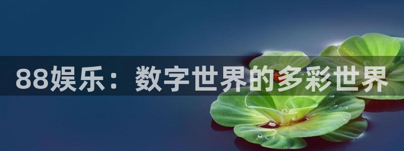 新城平台科技赋能,让平台更有趣：88娱乐：数字世界的多彩世界