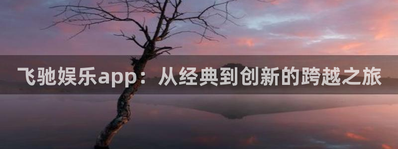 新城平台app最新版怎么下载苹果：飞驰娱乐app：从经典到创新的跨越之旅