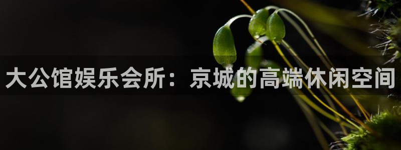 新城平台强制退款流程详解：大公馆娱乐会所：京城的高端休闲空间