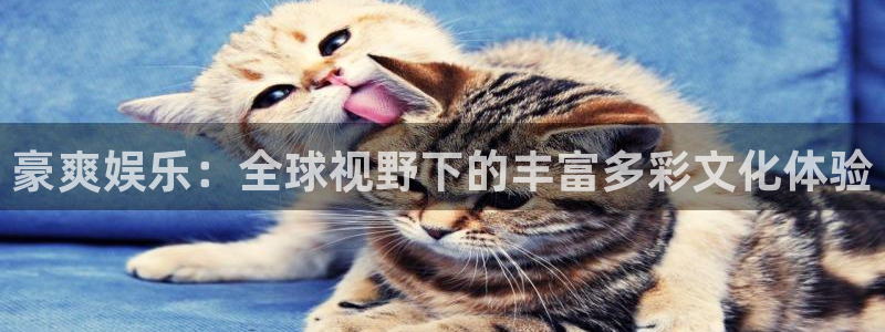 壹号大舞台官网入口：豪爽娱乐：全球视野下的丰富多彩文化体验