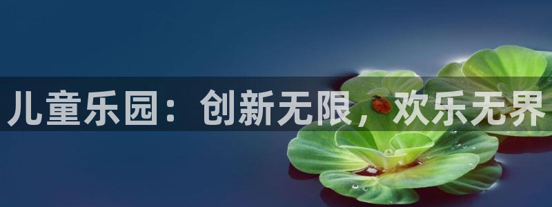 新城平台app下载：儿童乐园：创新无限，欢乐无界